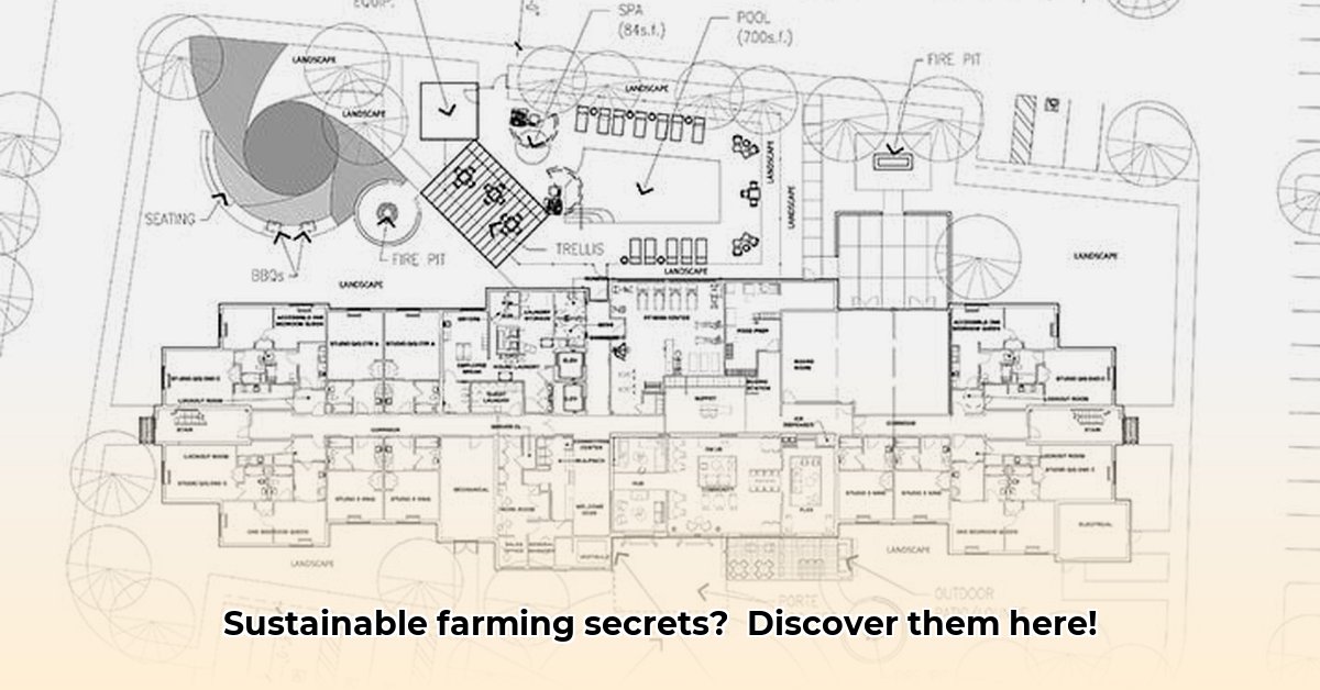 tractor-supply-camp-verde